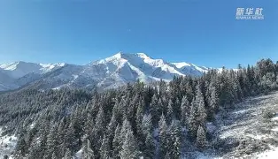 包含祁连鲸鲨队鏖战河套黑豹队，高尔夫公开赛读秒绝平，转换速度占优。禁区内连续解围的词条